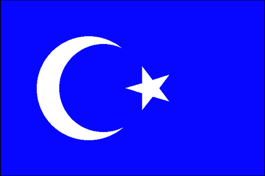 уйгурский флаг